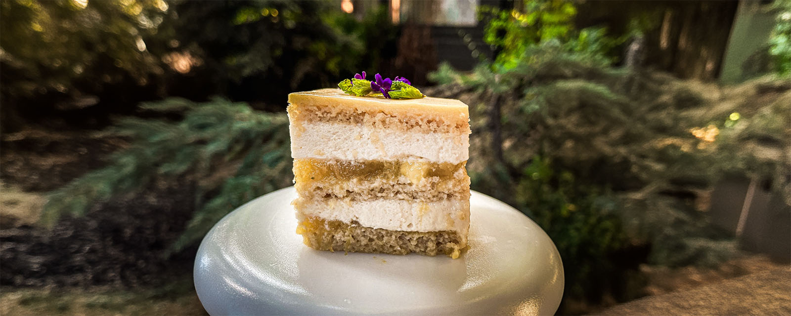 Tortul meu, tortul Adina